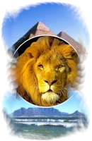 Cape to Cairo - a wild continent